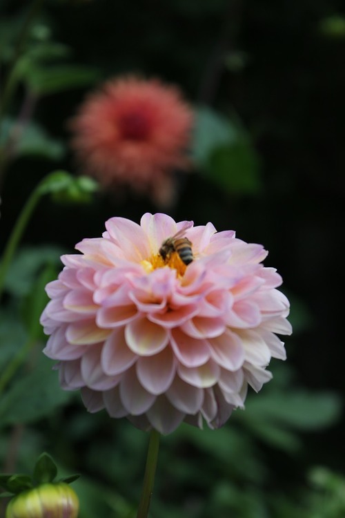 Aug19 (30)