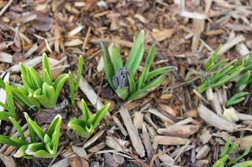 April1