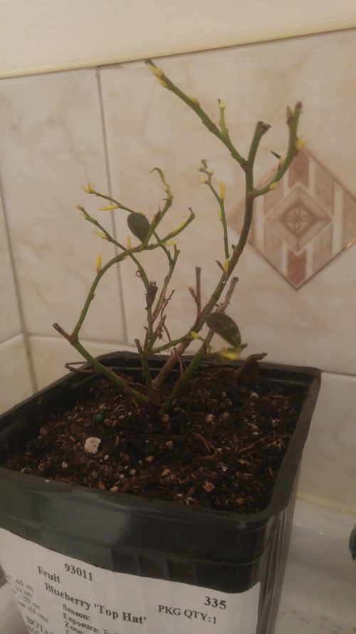 May2_rth