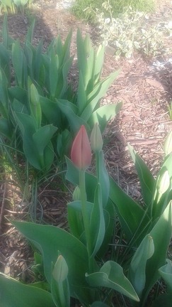 20150506_074624