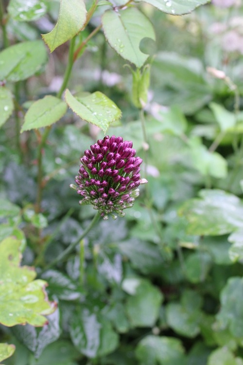 July14_ (2_2)