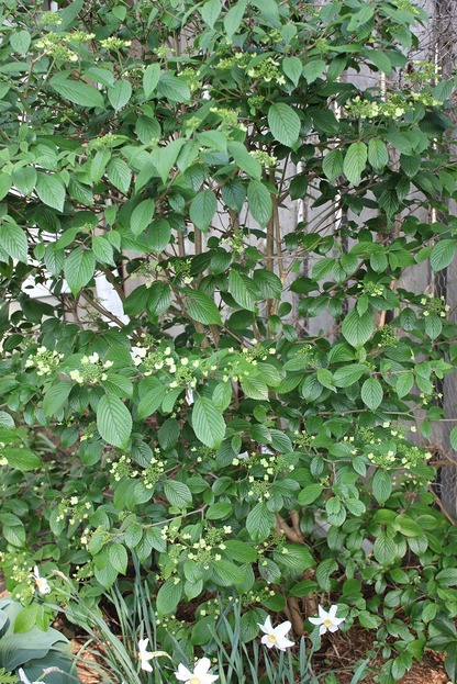 May27_vss2