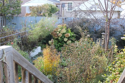 Oct25_g2