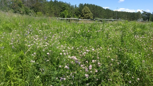 July8_Kortright (7)