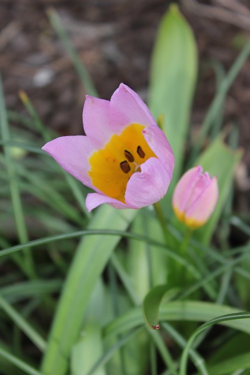 May19_ tlw