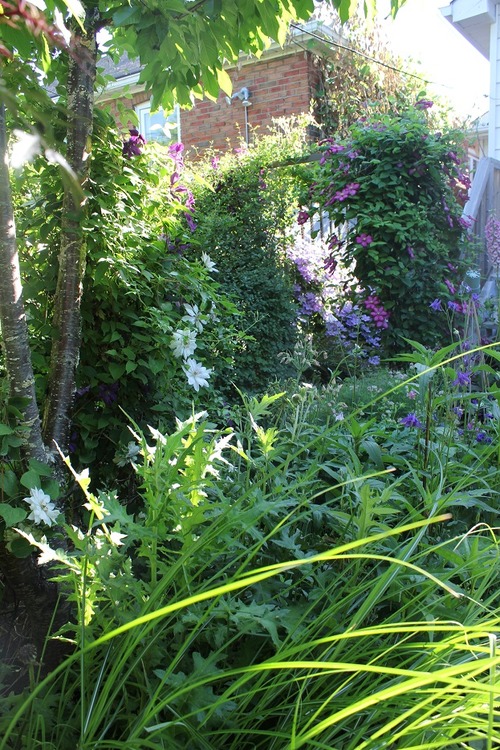 June24_ (44)