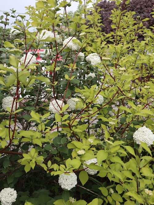 May26 (12)
