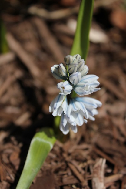 Apr9_pl3