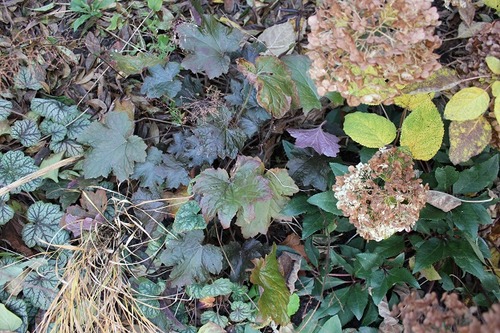Nov22_hpp