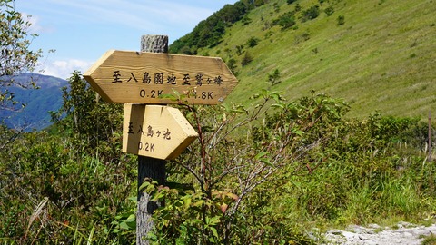 DSC03779