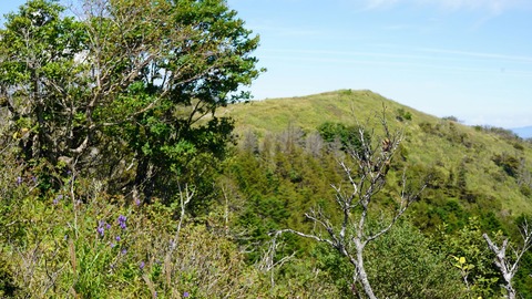 DSC03788