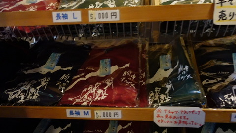 C4039T01
