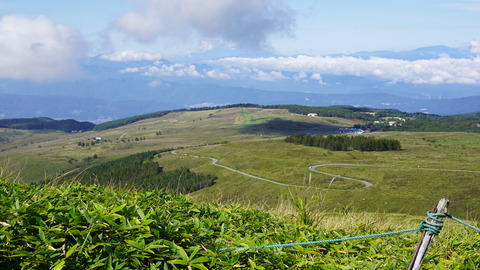 DSC03752