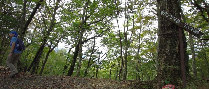 NORM0049_Moment