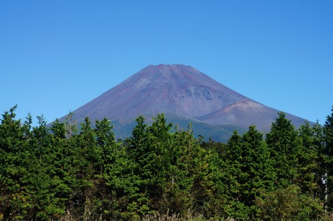 十里10
