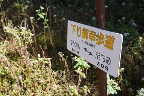 DSC06054