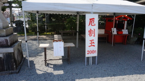 DSC04503