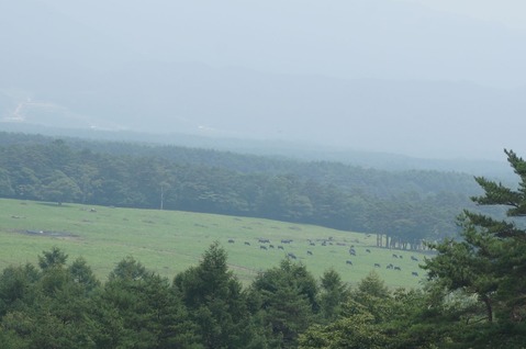 DSC05030