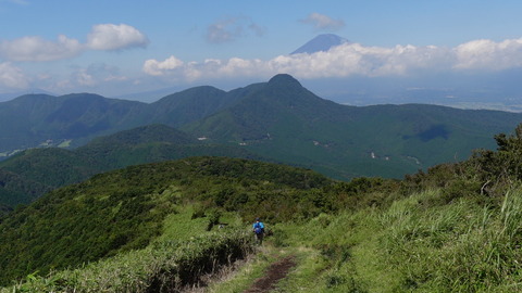 C4557T01