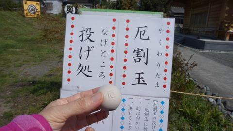 DSC04506