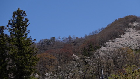 C0704T01