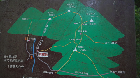 C0779T01