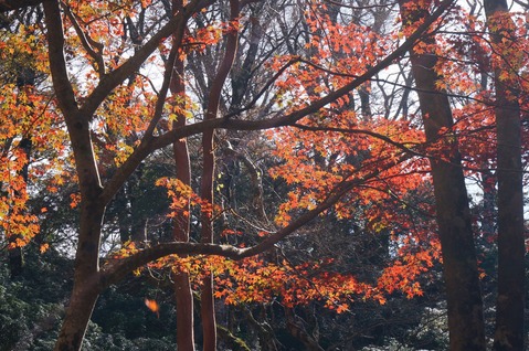 DSC04900