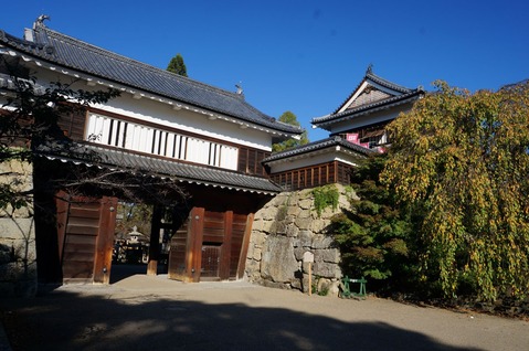 DSC04585 - コピー