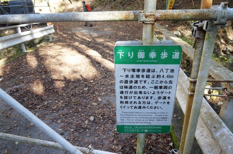 DSC06041