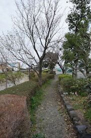 イメージ 19