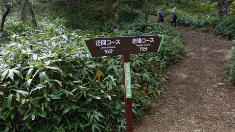 C5083T01
