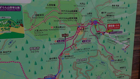 C5054T01