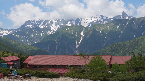 C0667T01