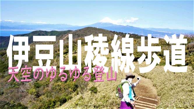 天空のゆるゆる登山 伊豆山稜線を歩いてきた ゆるゆる登山と車中メシ日記