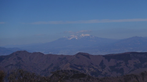 C0319T01