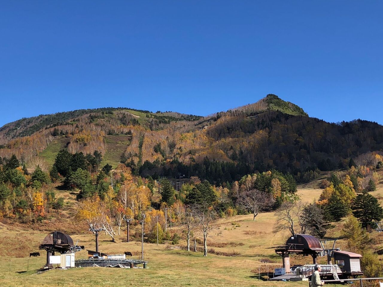 Gotoで長野旅 山田牧場で紅葉に酔いしれる ゆるゆる登山と車中メシ日記 Gotoで長野旅 山田牧場で紅葉に酔いしれる ゆるゆる登山と車中メシ日記
