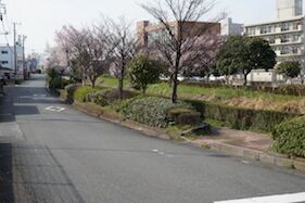 イメージ 25