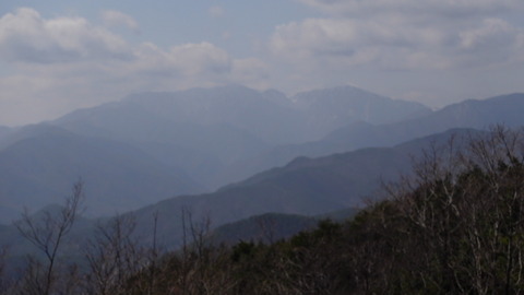 C0494T01