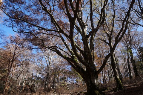 DSC06060