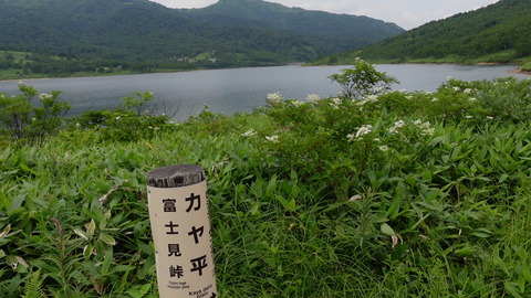 C4227T01