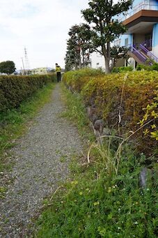 イメージ 12
