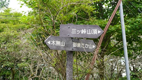 DSC03617