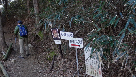 C0295T01