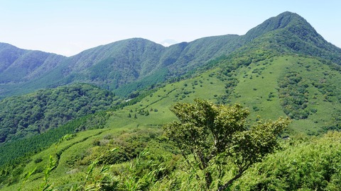 DSC03714