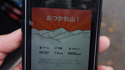 C4863T01