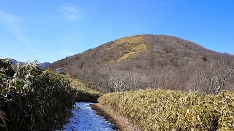 DSC00665