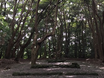 shimotakamiya