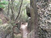 IMG_0985