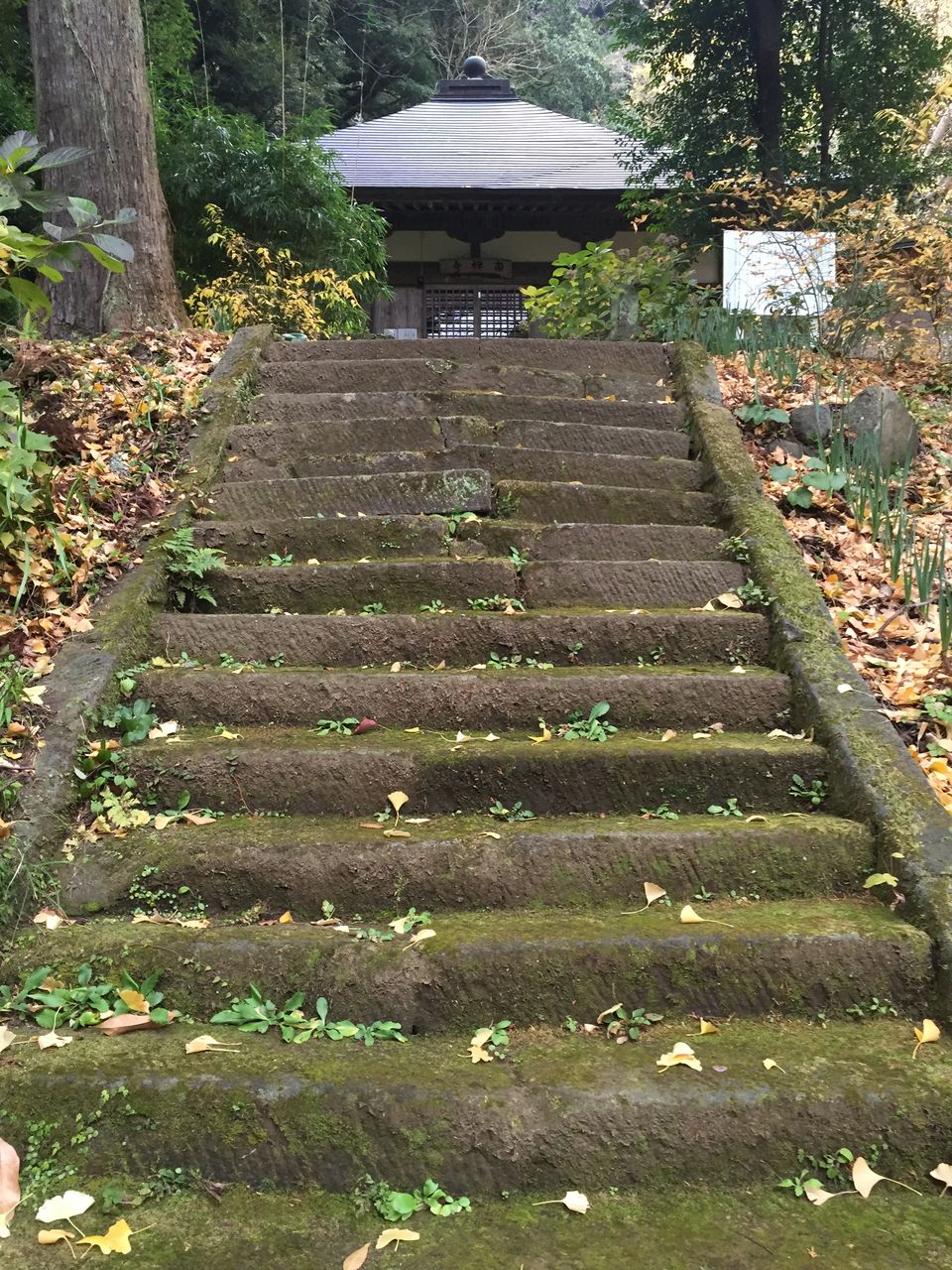 河津平安の仏像展示館 静岡県賀茂郡 : はならかん