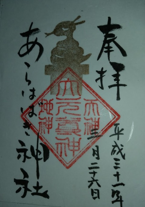 IMAG0697